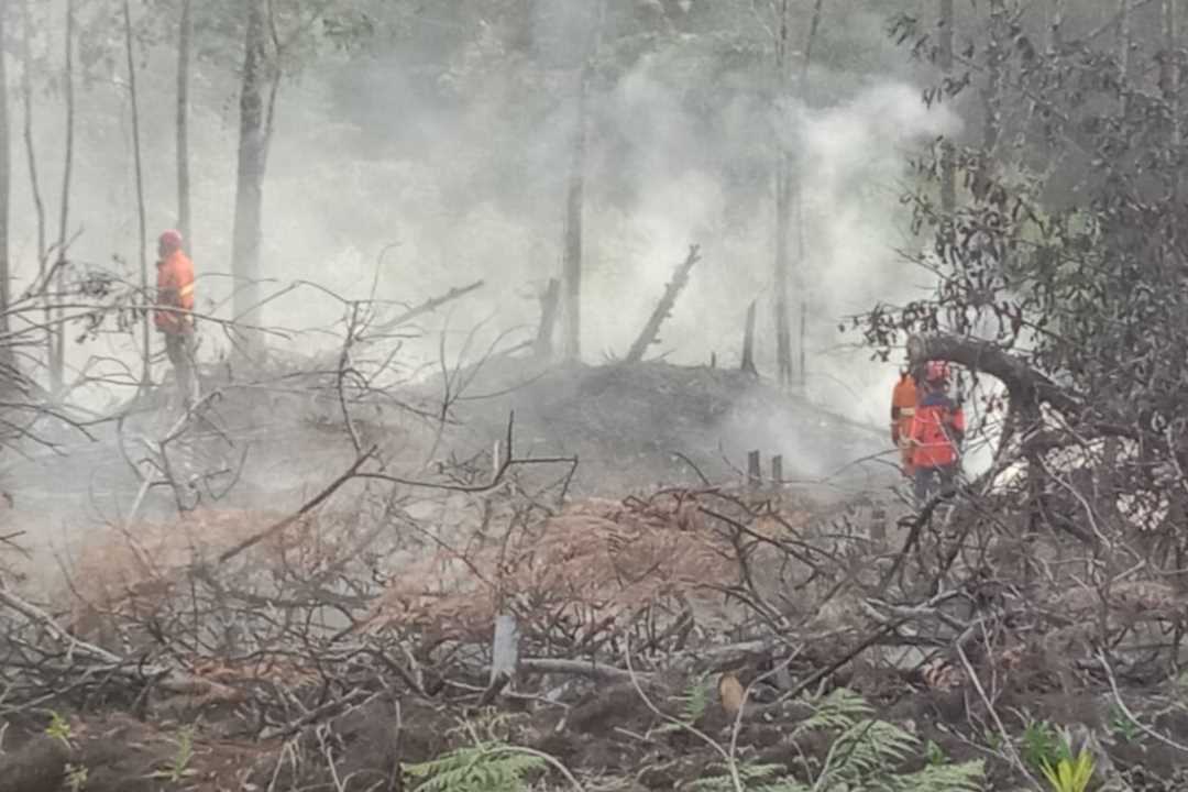 Terdeteksi Satelit NASA, Personel Polsek Nanga Pinoh Langsung Ground Check dan Verifikasi Titik Api
