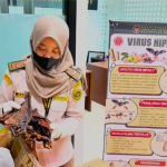 Sembunyi di Bawah Ikan Asin, Daging Kelelawar Asal Malaysia Disita Petugas Karantina Sambas